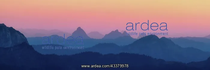 : Panorama hilly landscape with mountains Kleiner : Panorama hilly landscape with mountains Kleiner