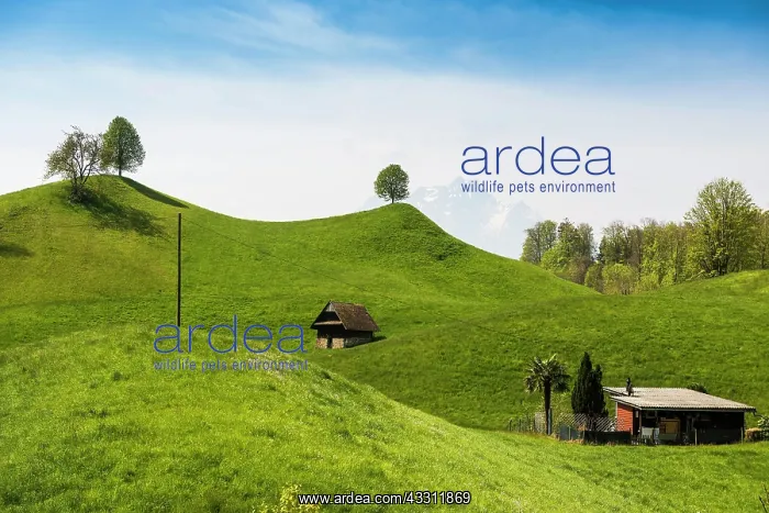 : Panorama with huts and hills, Pilatus in the back : Panorama with huts and hills, Pilatus in the back