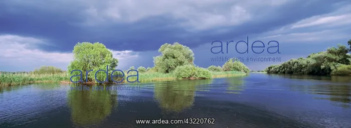 : Panorama of lakes and channels in the Danube : Panorama of lakes and channels in the Danube