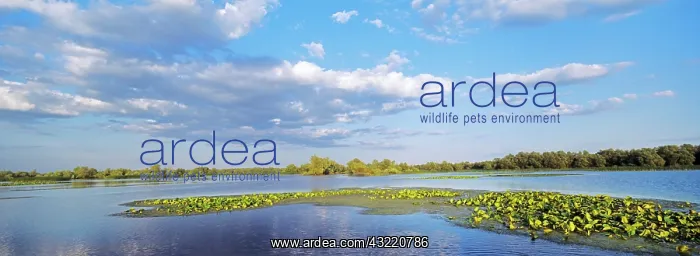 : Panorama of lakes and channels in the Danube : Panorama of lakes and channels in the Danube