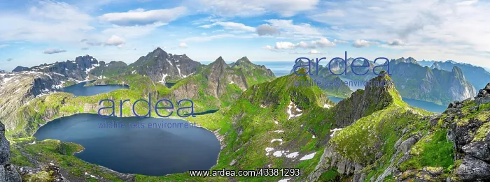 : Panorama, mountain landscape with steep rocky peaks : Panorama, mountain landscape with steep rocky peaks