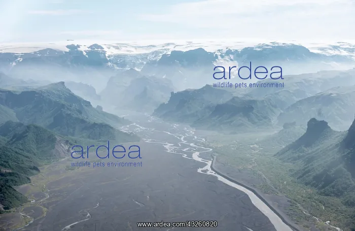 : Panorama, mountains and glacier river in a mountain : Panorama, mountains and glacier river in a mountain