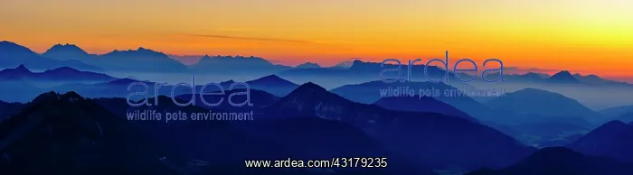 : Panorama photo, Alpine panorama at dusk from the : Panorama photo, Alpine panorama at dusk from the