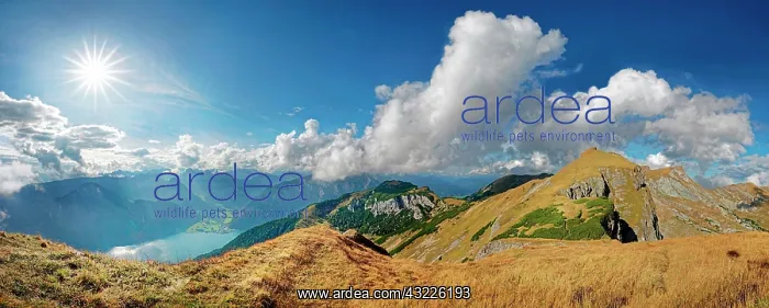 : Panorama at the ridge of the Dalfazer W&, x4ba4;e : Panorama at the ridge of the Dalfazer W&, x4ba4;e