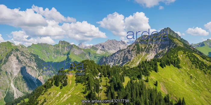 : Panorama from Riefenkopf, 1748m to Laufbacher-Eck-Weg : Panorama from Riefenkopf, 1748m to Laufbacher-Eck-Weg