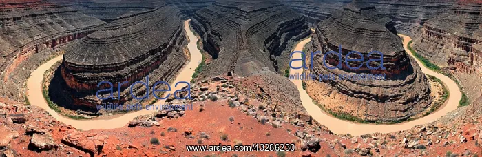 : Panorama, River loop, Goose Necks with the San Juan : Panorama, River loop, Goose Necks with the San Juan