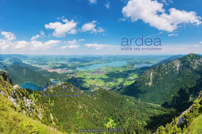 : Panorama from Sculing, 2047m, to the Tannheimer : Panorama from Sculing, 2047m, to the Tannheimer
