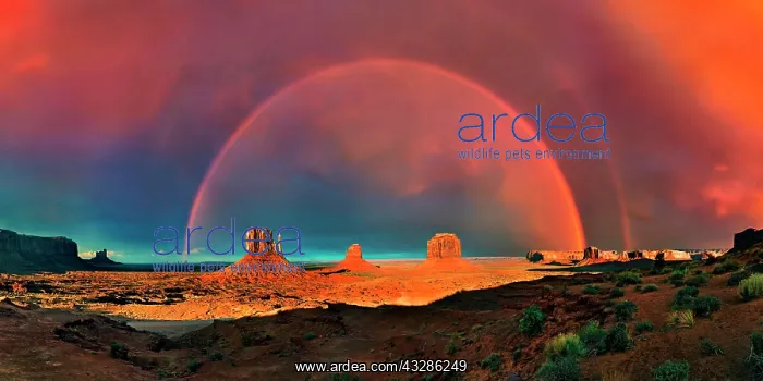 : Panorama, Sentinel Mesa, West Mitten Butte, East : Panorama, Sentinel Mesa, West Mitten Butte, East