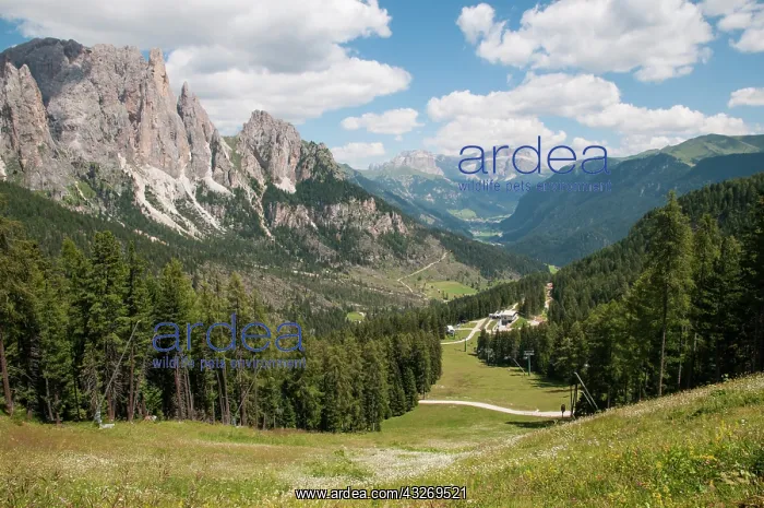 : Panorama shot of dolomites of Trentino, Italy : Panorama shot of dolomites of Trentino, Italy