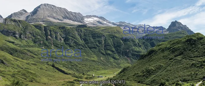 : Panorama shot of the viewpoint behind Morasco lake : Panorama shot of the viewpoint behind Morasco lake