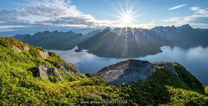 : Panorama, sun shining on Fjord Raftsund and mountains : Panorama, sun shining on Fjord Raftsund and mountains