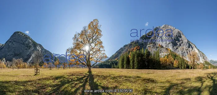 : Panorama, sun star, Karwendel, Groier Ahornboden : Panorama, sun star, Karwendel, Groier Ahornboden
