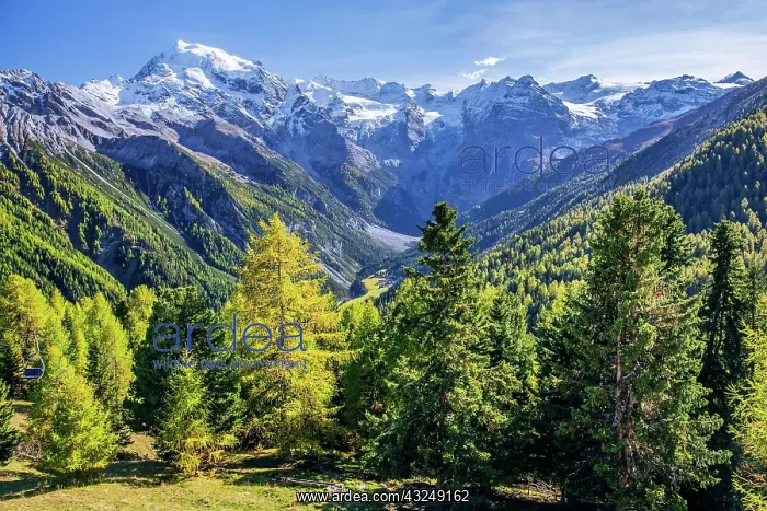 : Panorama of the valley with Ortler 3905m and Trafoier : Panorama of the valley with Ortler 3905m and Trafoier