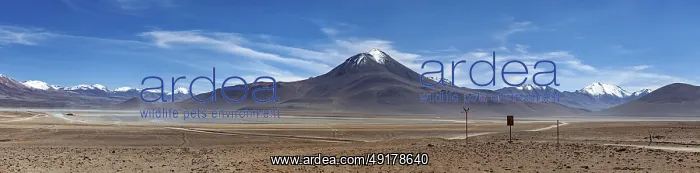 : Panorama of a vast desert landscape with snow-capped mountains : Panorama of a vast desert landscape with snow-capped mountains