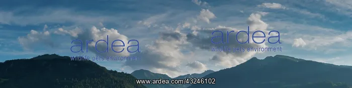 : A panorama view of mountain landscape covered in : A panorama view of mountain landscape covered in