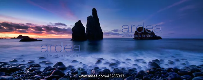  : Panorama, volcanic rock formation Ilheus da Rib