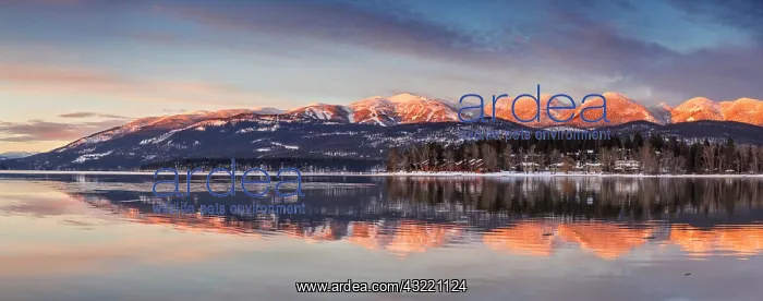 : Panoramic of Big Mountain reflected in Whitefish : Panoramic of Big Mountain reflected in Whitefish
