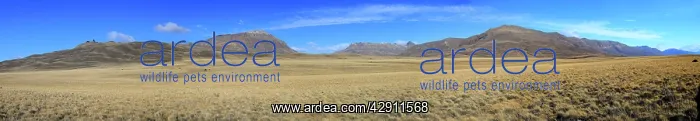 : Panoramic landscape : Panoramic landscape