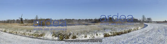 : Panoramic landscape with water windmill and a l : Panoramic landscape with water windmill and a l