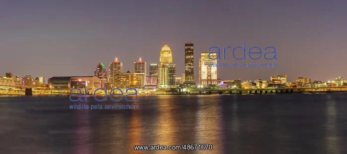 : Panoramic of Louisville skyline at dusk, Louisville : Panoramic of Louisville skyline at dusk, Louisville