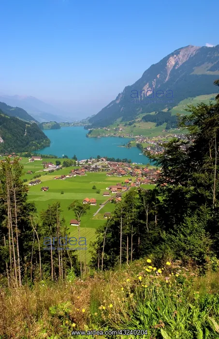 : Panoramic from above mountain of beautiful : Panoramic from above mountain of beautiful