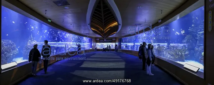 : Panoramic photo of Europe's largest aquarium Aquarium L'Oceanografic (Oceanografic Valencia) : Panoramic photo of Europe's largest aquarium Aquarium L'Oceanografic (Oceanografic Valencia)