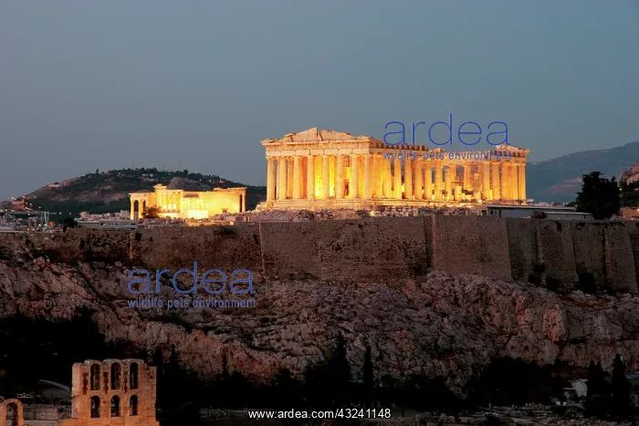 : Panoramic view of the Acropolis at night : Panoramic view of the Acropolis at night