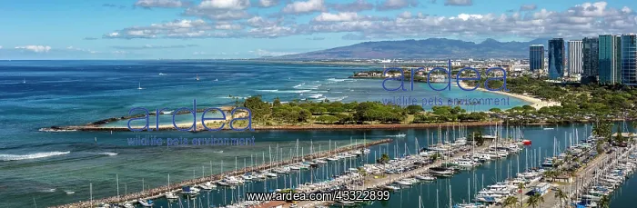 : Panoramic view over Ala Moana Beach and Magic Island : Panoramic view over Ala Moana Beach and Magic Island