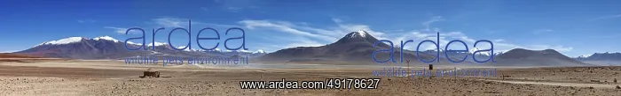 : Panoramic view of arid desert and massive : Panoramic view of arid desert and massive