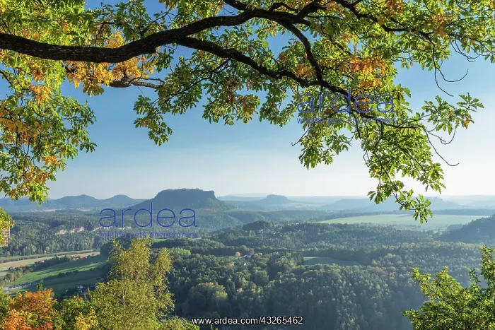 : Panoramic view from the Bastei to the Lilienstein : Panoramic view from the Bastei to the Lilienstein