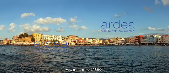 : Panoramic view of Chania, Crete, Greece : Panoramic view of Chania, Crete, Greece