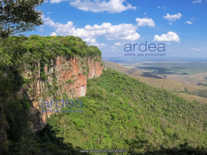 : Panoramic view from top of cliffs in the afternoon l : Panoramic view from top of cliffs in the afternoon l
