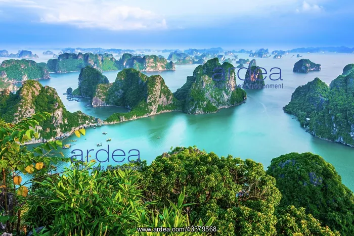 : Panoramic view of Ha Long Bay, Vietnam, Asia : Panoramic view of Ha Long Bay, Vietnam, Asia