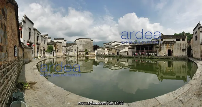 : Panoramic view of Half Moon Pond, Hong Cun : Panoramic view of Half Moon Pond, Hong Cun