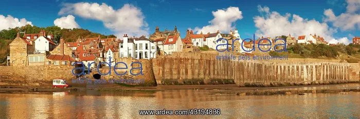 : Panoramic view of the harbour of Robin Hood's Bay : Panoramic view of the harbour of Robin Hood's Bay