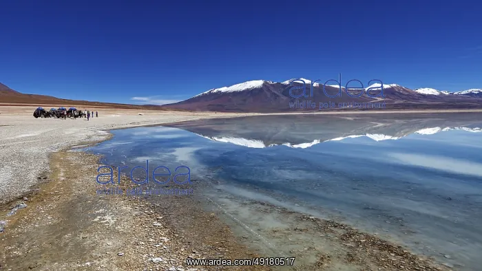 : Panoramic view of a lake with snow-capped peaks : Panoramic view of a lake with snow-capped peaks