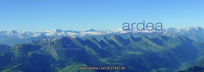 : Panoramic view from Mt Saentis to the Churfirsten : Panoramic view from Mt Saentis to the Churfirsten