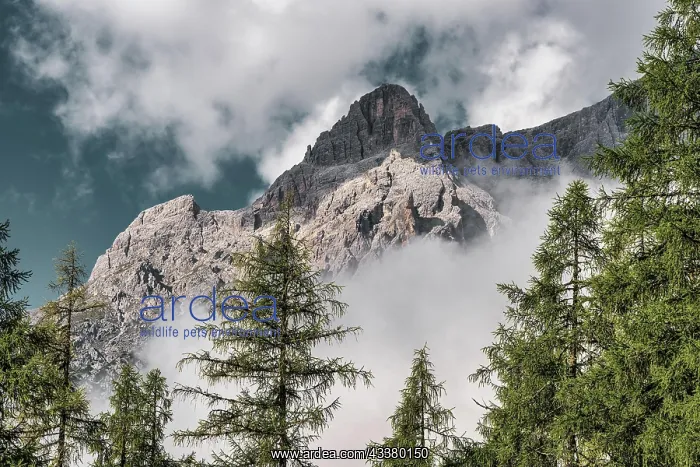 : Panoramic view of the Sexten Dolomites, Italy, E : Panoramic view of the Sexten Dolomites, Italy, E