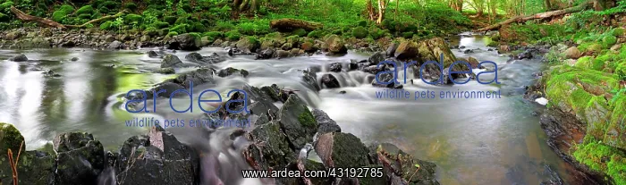 : Panoramic view, stream in the low mountain range : Panoramic view, stream in the low mountain range