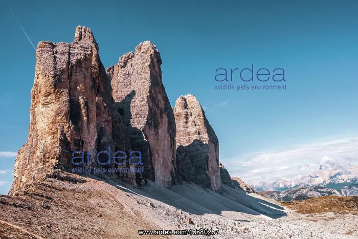 : Panoramic view of the Tre Cime di Lavaredo, Dolo : Panoramic view of the Tre Cime di Lavaredo, Dolo