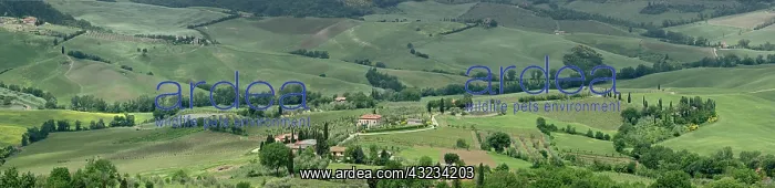 : Panoramic view of Tuscany region of Italy : Panoramic view of Tuscany region of Italy