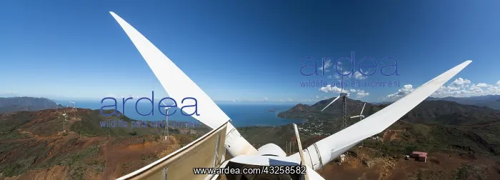 : Panoramic view of wind turbine blades in New Caledonia : Panoramic view of wind turbine blades in New Caledonia