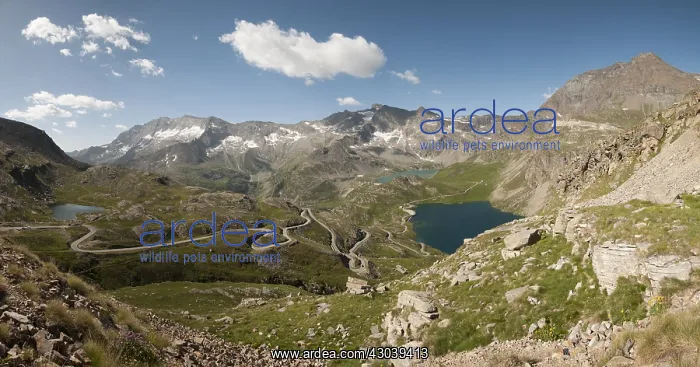 : Panoramic viewpoint from Colle del Nivolet in : Panoramic viewpoint from Colle del Nivolet in