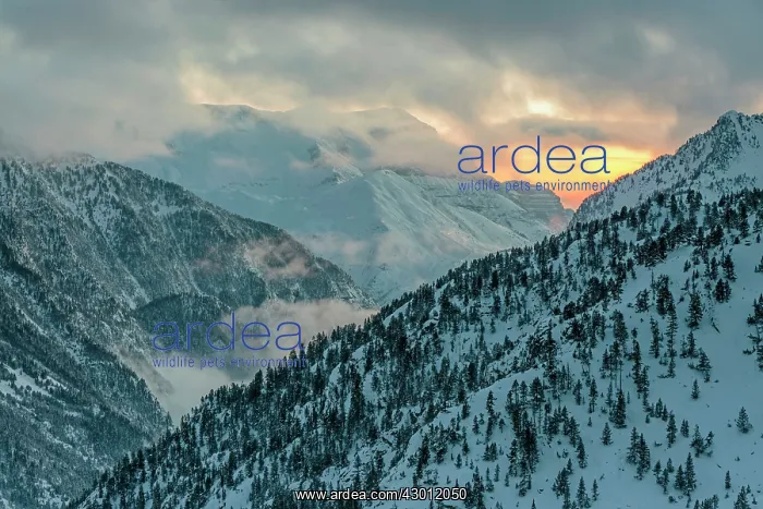  : Panticosa snowy mountains at sunset Huesca, Spain