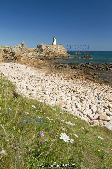 : Paon lighthouse, Br&, x9a21;t island, C&, x134973;-d'Armor : Paon lighthouse, Br&, x9a21;t island, C&, x134973;-d'Armor