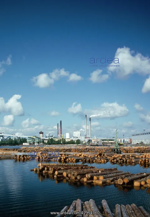 : Paper Mill : Paper Mill