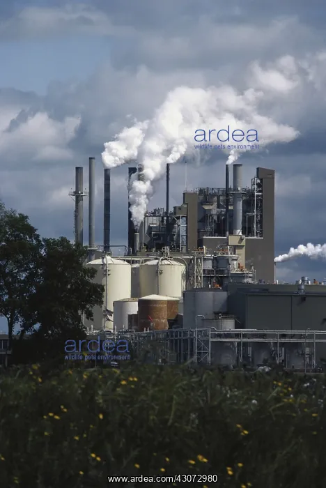 : Paper Mill : Paper Mill