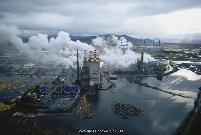 : Paper Mill Air Pollution : Paper Mill Air Pollution