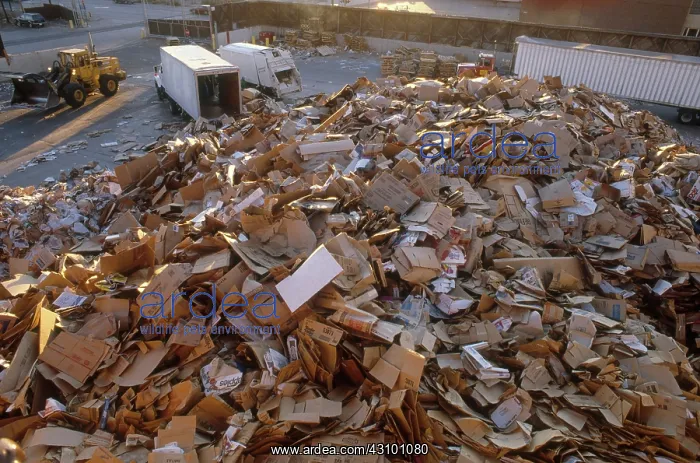 : Paper and Cardboard Recycling : Paper and Cardboard Recycling