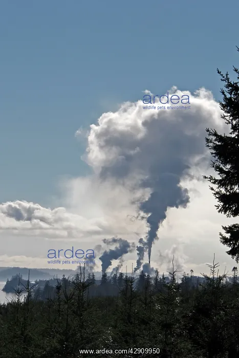: Paper Factory - Elk Falls division of group Catalyst : Paper Factory - Elk Falls division of group Catalyst